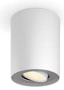 Lampa Sufitowa Philips Hue, Philips Hue Pillar, ściemnialny, biały, salon, metal, nowoczesny