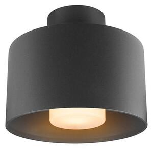 Photoni Cyl Na zewnątrz Lampa Sufitowa Cylindrical Black