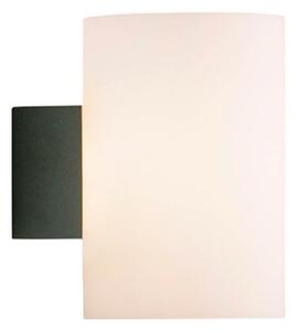 Evoke Lampa Ścienna IP44 Large Anthracite/Opalizowany