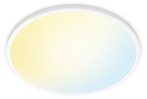 Lampa Sufitowa WiZ, SuperSlim, ściemnialny, biały, salon, tworzywo sztuczne, nowoczesny