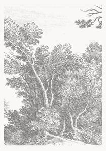 Tapeta Engraved Landscapes