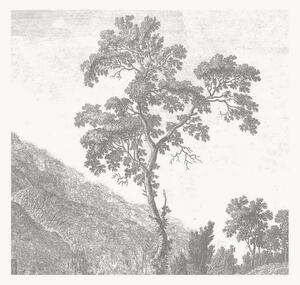 Tapeta Engraved Landscapes