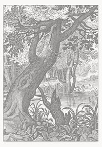 Tapeta Engraved Landscapes