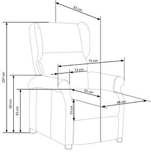 Popielaty rozkładany fotel uszak - Alden 2X