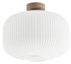 Lampy sufitowe NOLA, Evey, ściemnialny, biały, salon, szkło, skandynawski