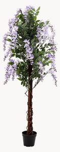 Sztuczna roślina w doniczce Wisteria Tree