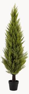 Sztuczna roślina w doniczce Cypress Bush