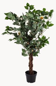 Sztuczna roślina w doniczce Camellia Tree