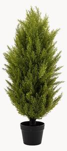 Sztuczna roślina w doniczce Cypress Bush