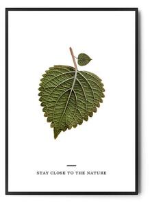 Plakat STAY CLOSE TO NATURE no.1