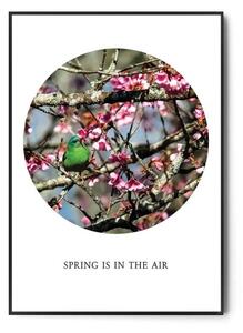 Plakat SPRING IS IN THE AIR no.1
