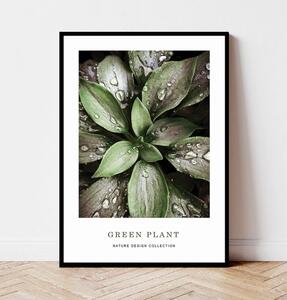 Plakat GREEN PLANT no.1