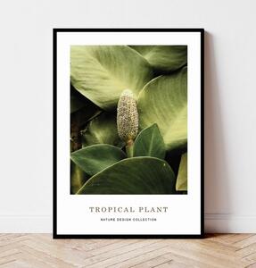 Plakat TROPICAL PLANT no.1