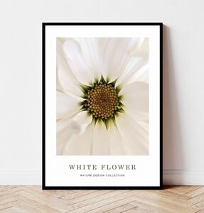 Plakat WHITE FLOWER no.1