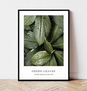 Plakat GREEN LEAVES no.1