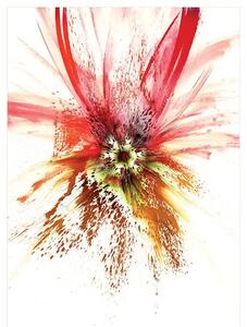 Obraz na płótnie Kwiat, Seria Czerwona