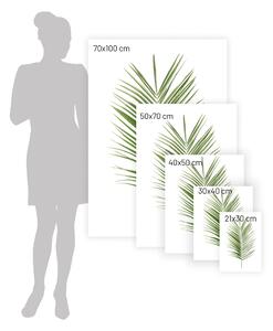 Plakat Palm Leaf Green