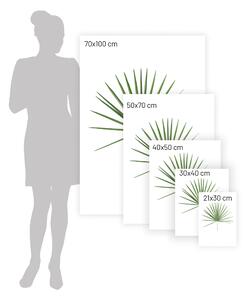 Plakat Tropical Leaf Green