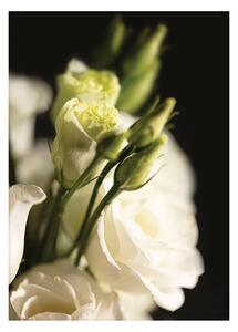 Plakat Dark Flowers I