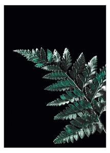 Plakat Dark Fern Leaf