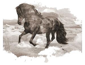 Plakat Horse