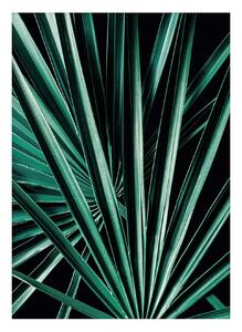 Plakat Dark Palm Tree