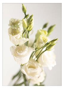 Plakat Elegant Flowers