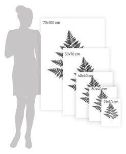 Plakat Fern Grey