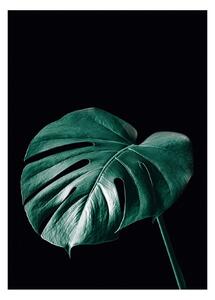 Plakat Dark Monstera