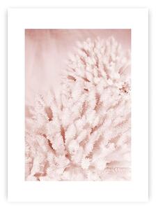 Plakat Pastel Pink II