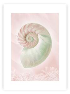 Plakat Pastel Pink III