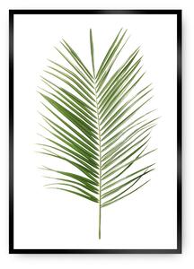 Plakat Palm Leaf Green
