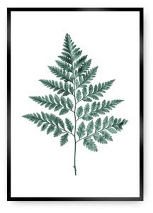 Plakat Fern Emerald Green