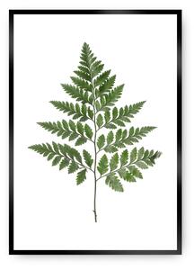 Plakat Fern Green