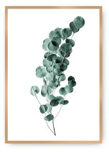 Plakat Eucalyptus Emerald Green