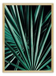 Plakat Dark Palm Tree