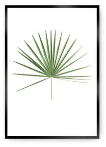 Plakat Tropical Leaf Green