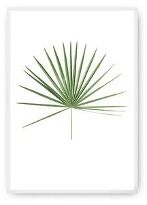 Plakat Tropical Leaf Green