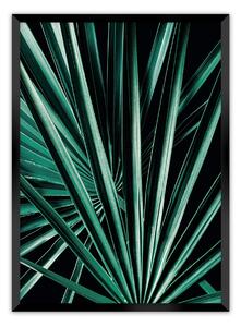 Plakat Dark Palm Tree