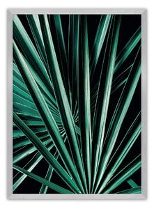 Plakat Dark Palm Tree