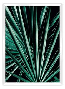 Plakat Dark Palm Tree