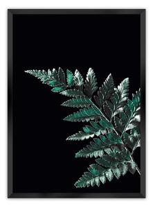 Plakat Dark Fern Leaf