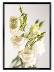Plakat Elegant Flowers