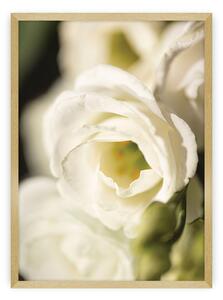 Plakat Flower Wall