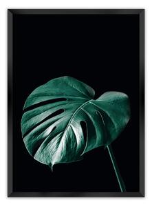 Plakat Dark Monstera