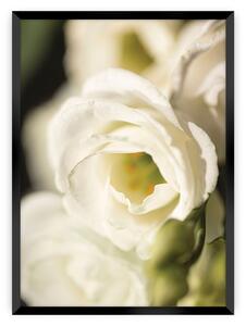 Plakat Flower Wall