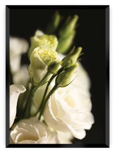 Plakat Dark Flowers I