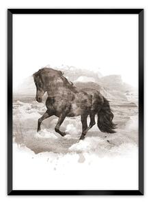 Plakat Horse