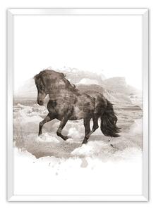 Plakat Horse