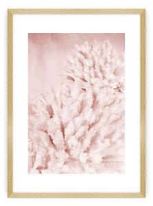 Plakat Pastel Pink II